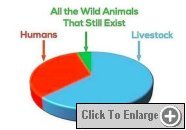 biomass of all mammals 2023